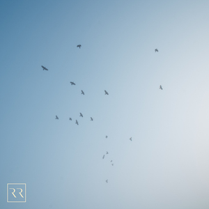 嗯啊不要嗯啊不要公主上床视频
